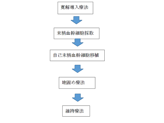 治療の流れ