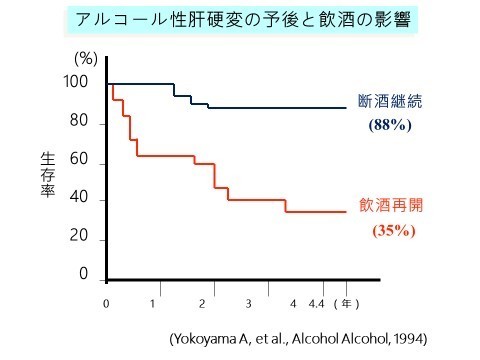 アルコール性肝疾患 | 肝炎情報センター